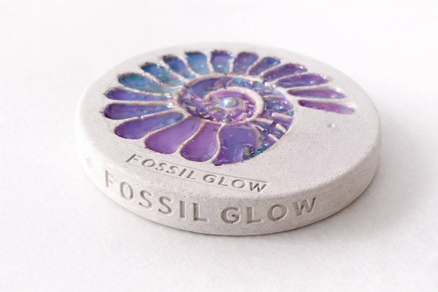Ammonite Coaster — hero view of the spiral fossil relief cast in mineral-rich concrete.