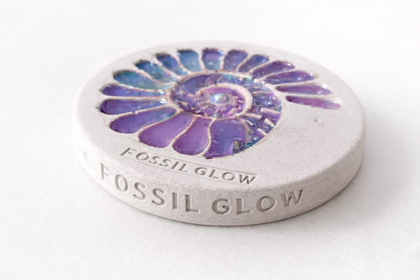 Ammonite Coaster