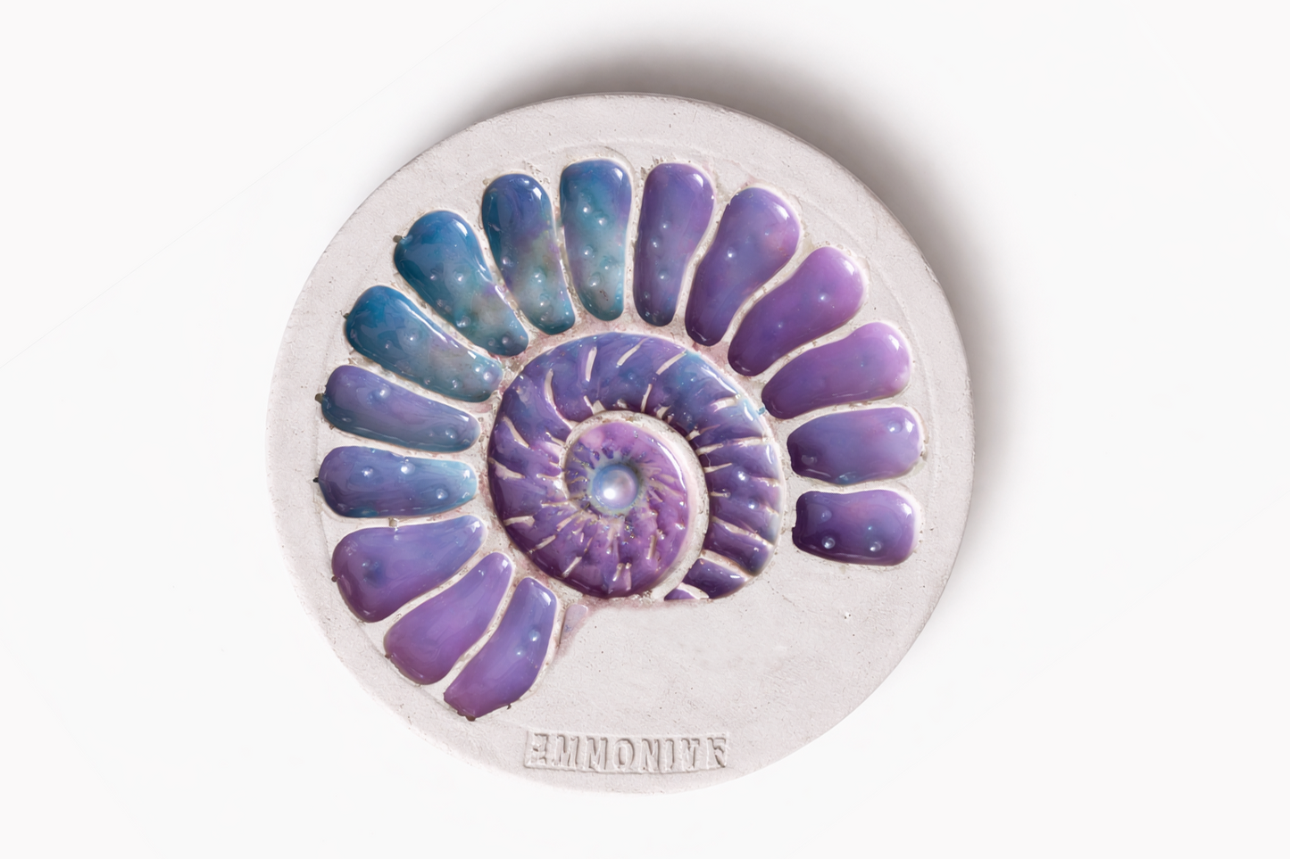 Ammonite Coaster — top view showing the complete ammonite spiral geometry.