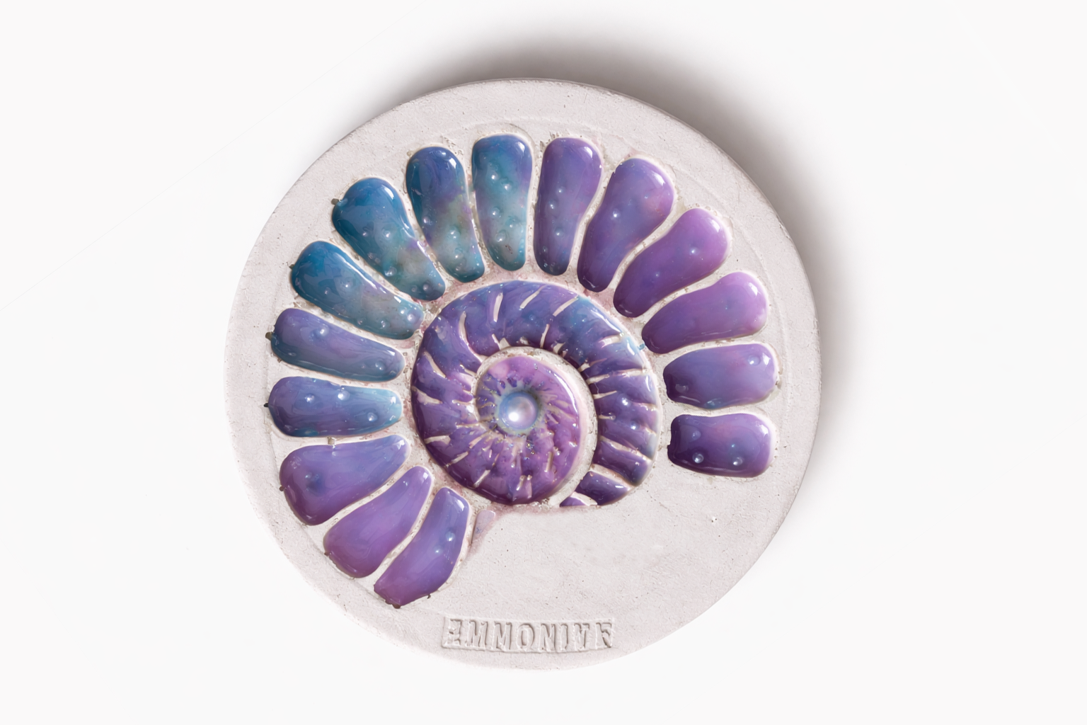 Ammonite Coaster — top view showing the complete ammonite spiral geometry.