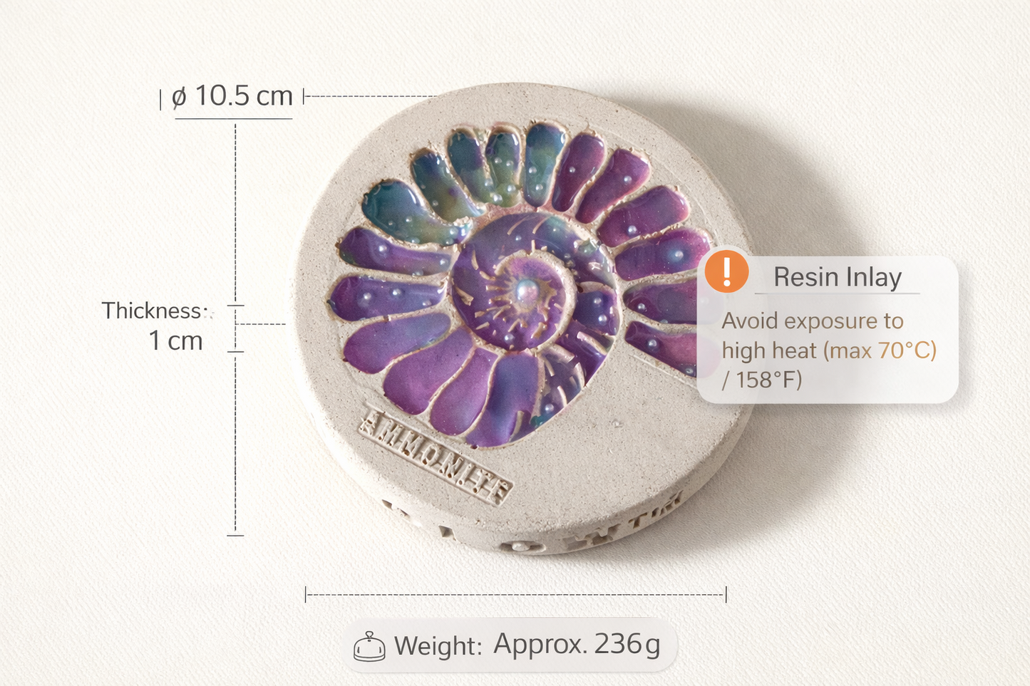 Ammonite Coaster shown at scale with a dimensional reference.