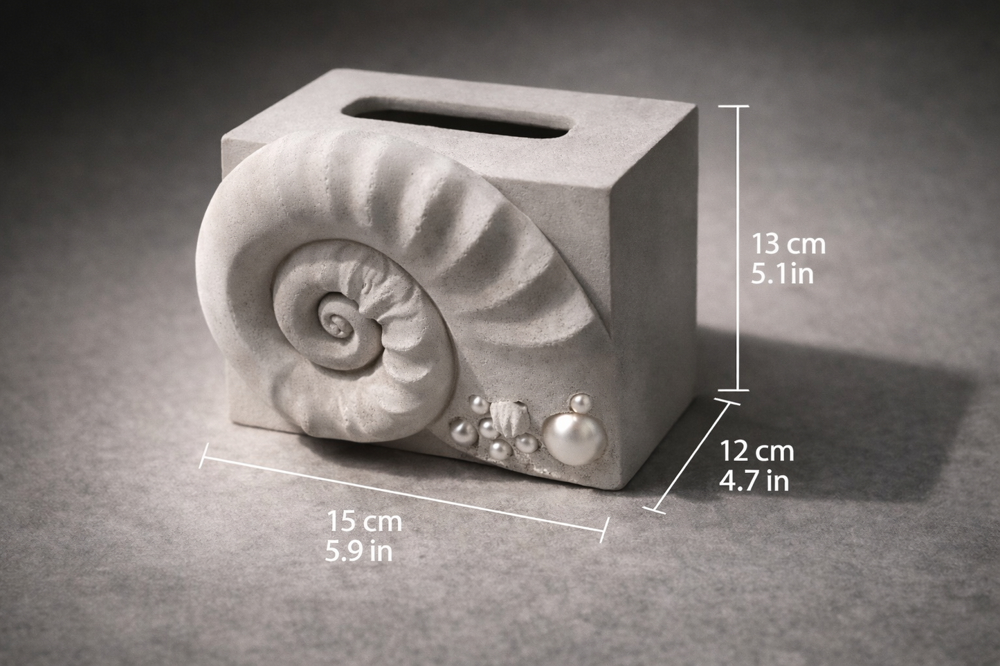 Ammonite Tissue Box