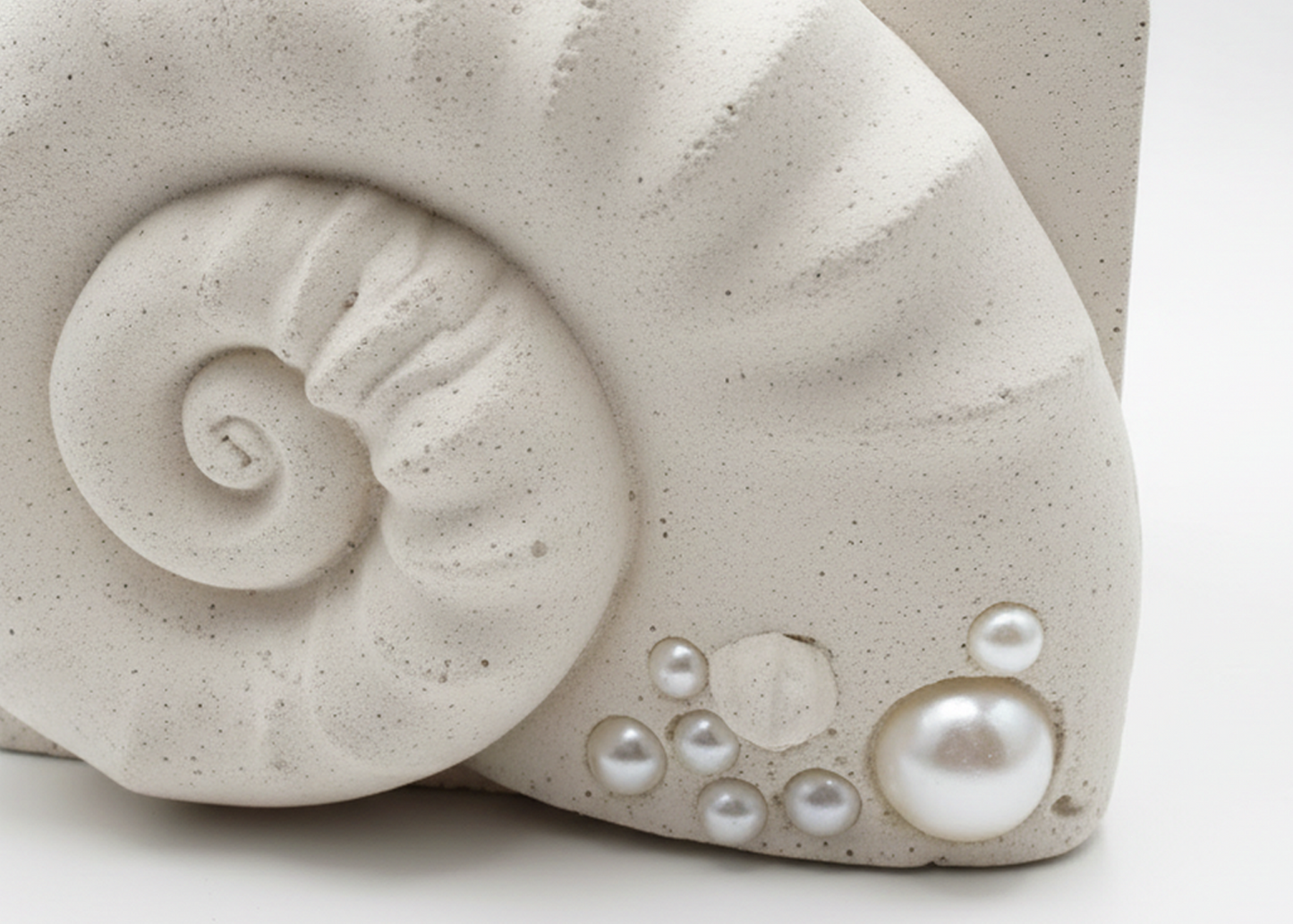 Ammonite Tissue Box
