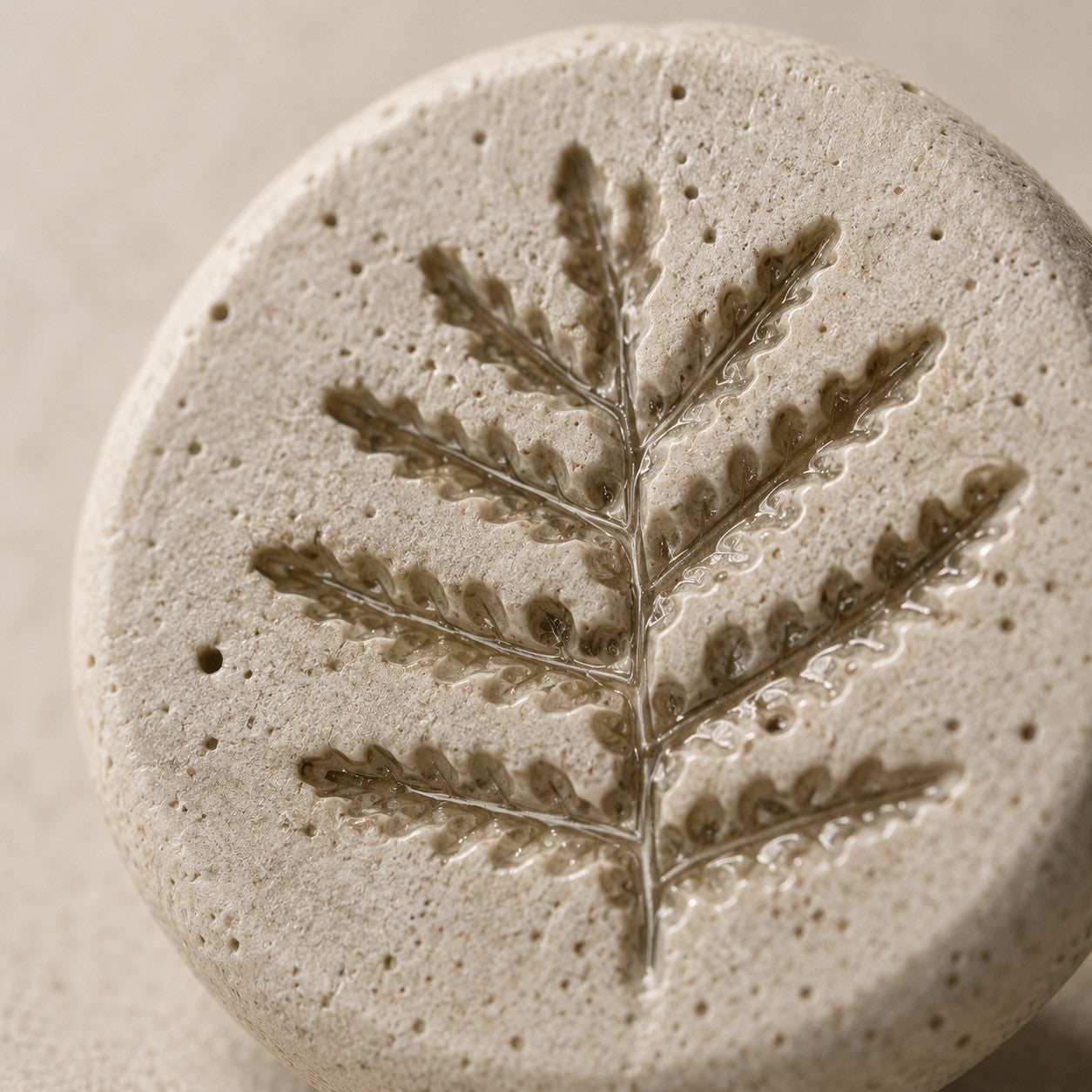 Macro detail of botanical fossil impression